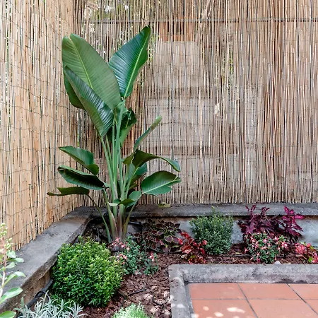 Espana - Gruppo Blam فندق